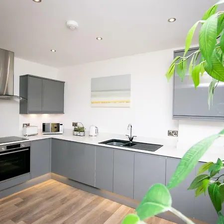 Rowan Tree - Your * 布里斯托