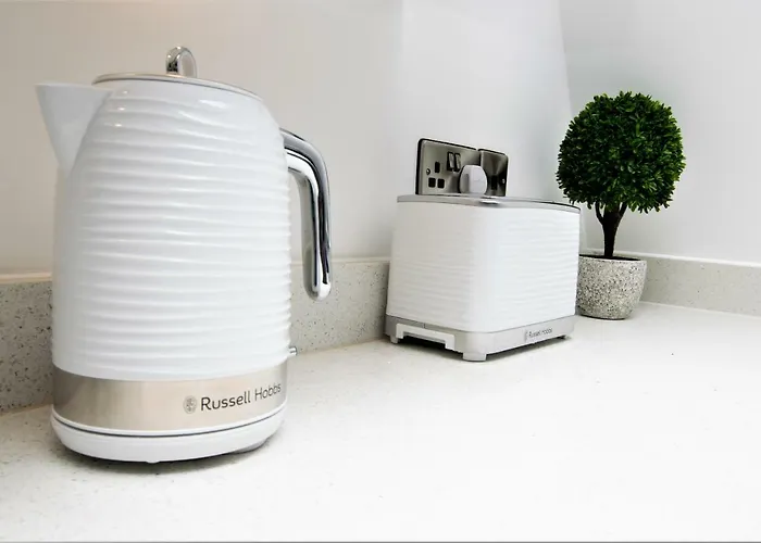 Rowan Tree - Your ブリストル